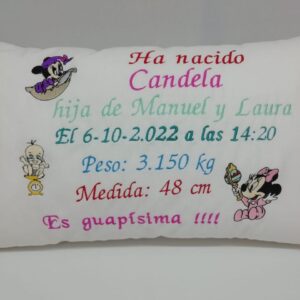 Cojín bordado